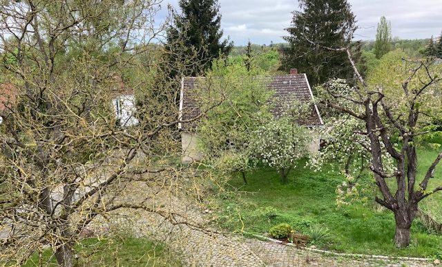 Blick in den Garten