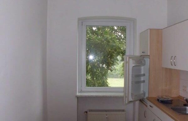 Küche mit Einbauküche