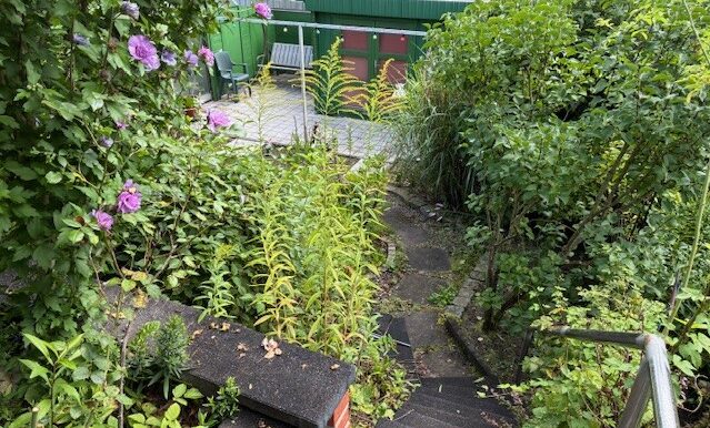Blick in den Garten