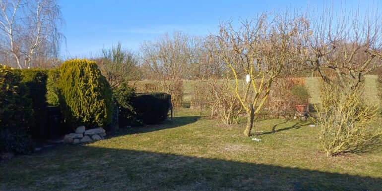 Garten mit Rasenfläche vor dem Haus