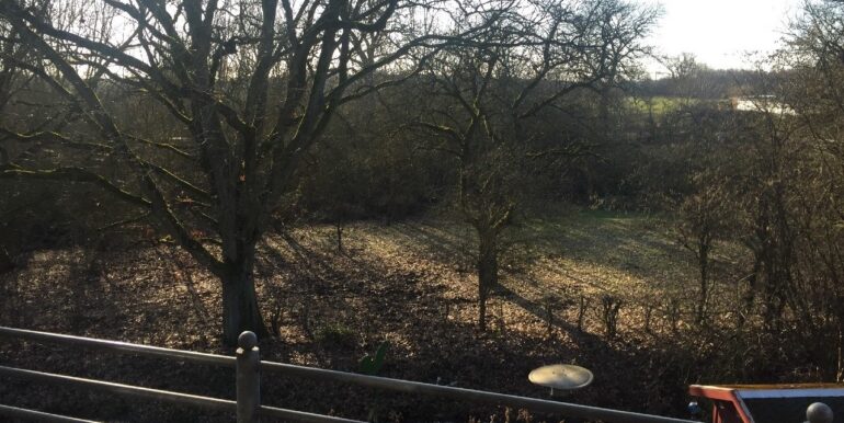 Ausblick vom Balkon hinten