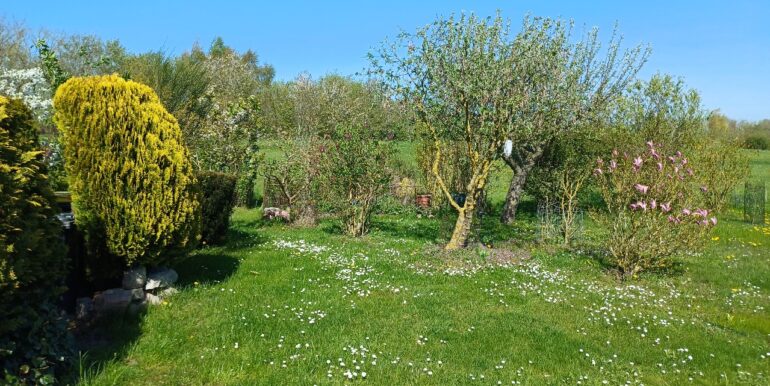 Garten mit Rasenfläche vor dem Haus