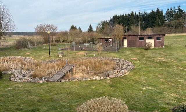 Teich und Hühnerhof