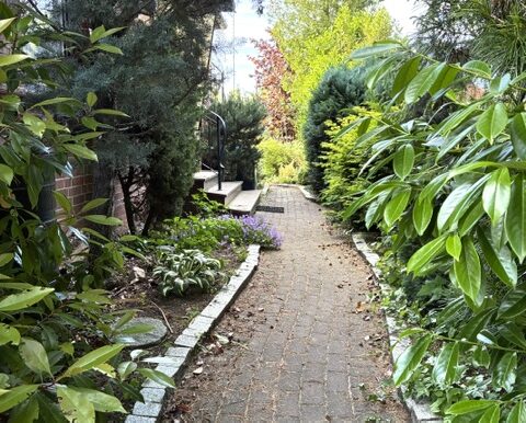 Weg zum Hauseingang