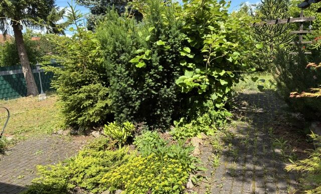 Terrassen am Wintergarten