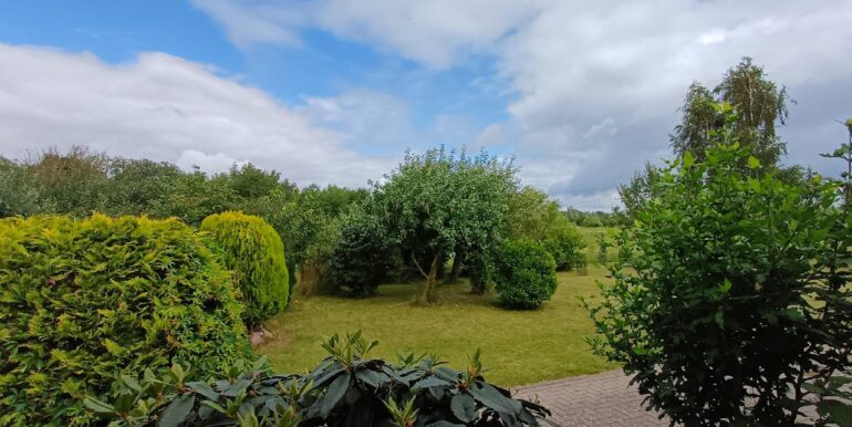Garten mit Rasenfläche vor dem Haus