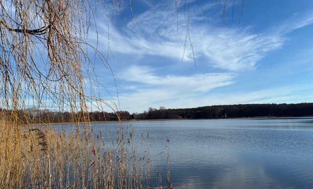 Blick über den Dabeler See