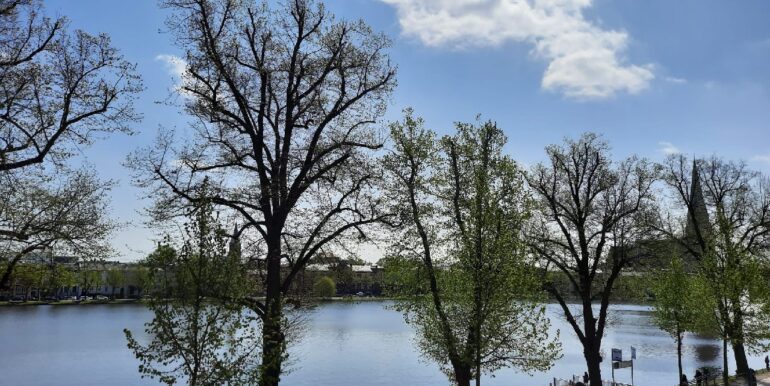 Blick auf den Pfaffenteich